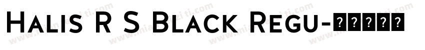 Halis R S Black Regu字体转换